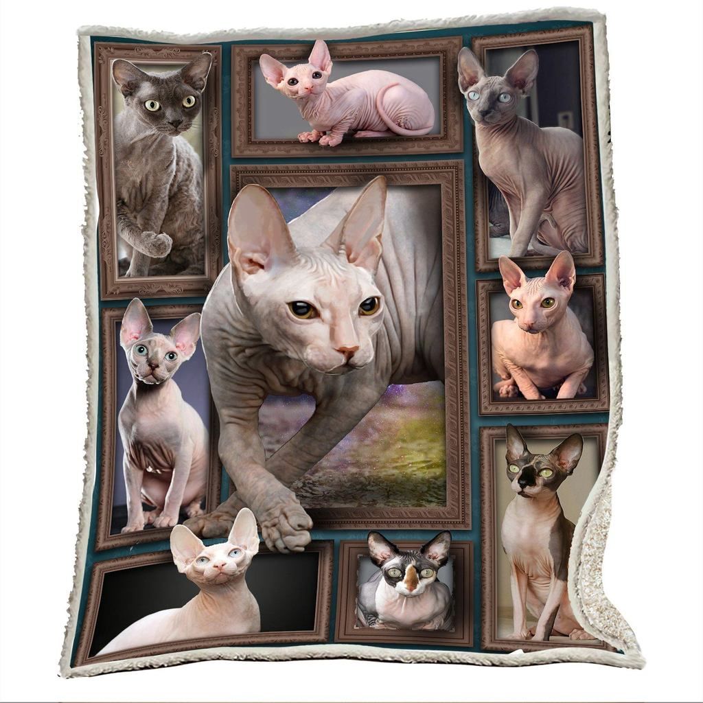 Couverture sphynx photoréaliste chats sans poils plusieurs portraits format lit double sur fauteuil