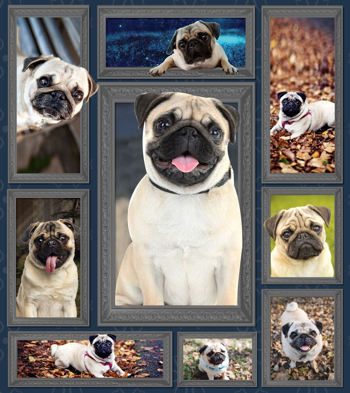 Couverture réversible chien Carlin plaid polaire patchwork photographique carlins fauve sable et noir attendrissants
