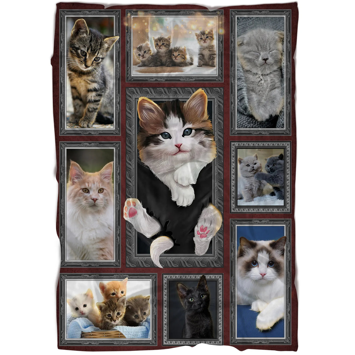 Plaid polaire chat 3D vue salon, scènes de chatons espiègles encadrées sur tissu doux pour canapé