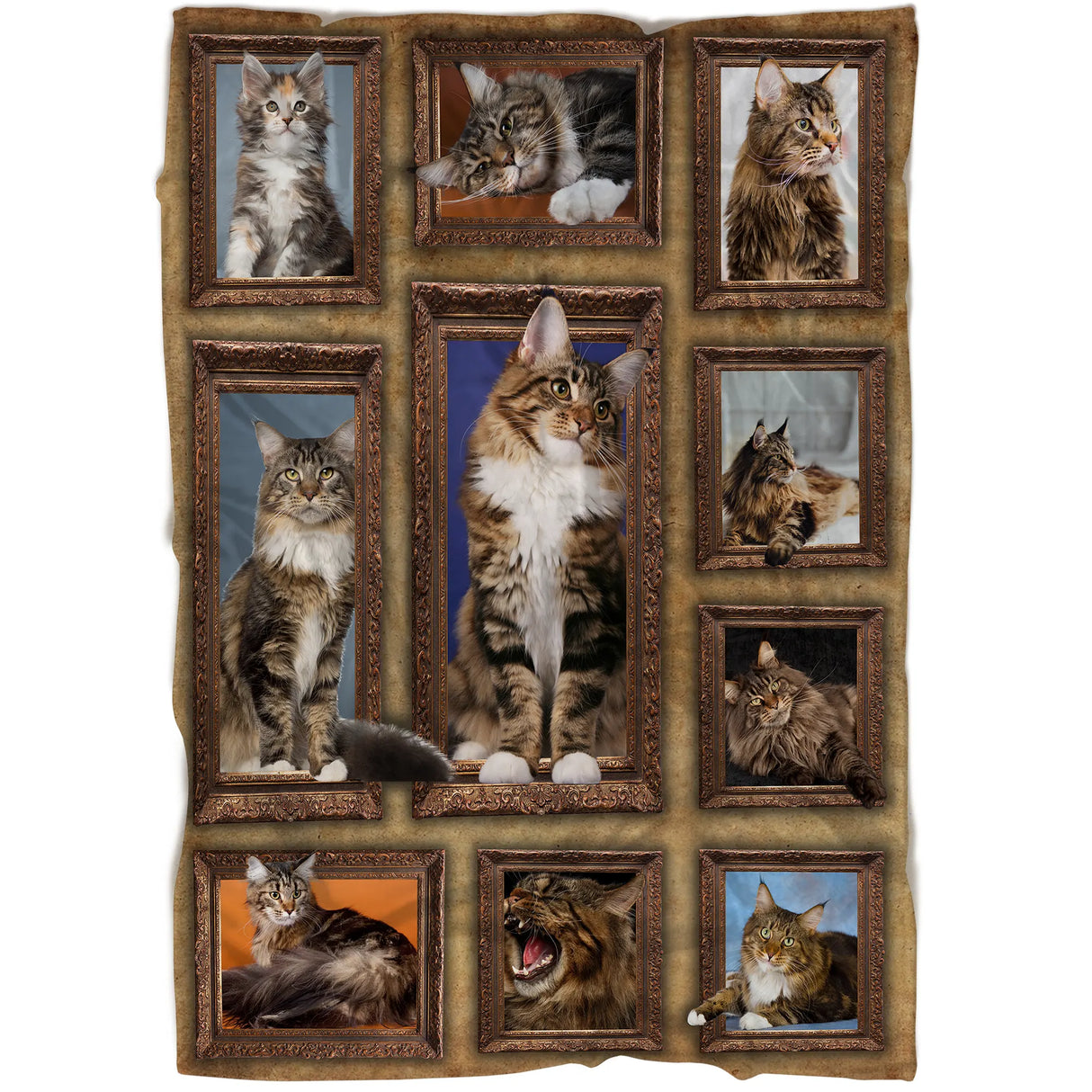 Plaid polaire Maine Coon 3D vue salon, scènes de chat royal poil long encadrées sur tissu doux