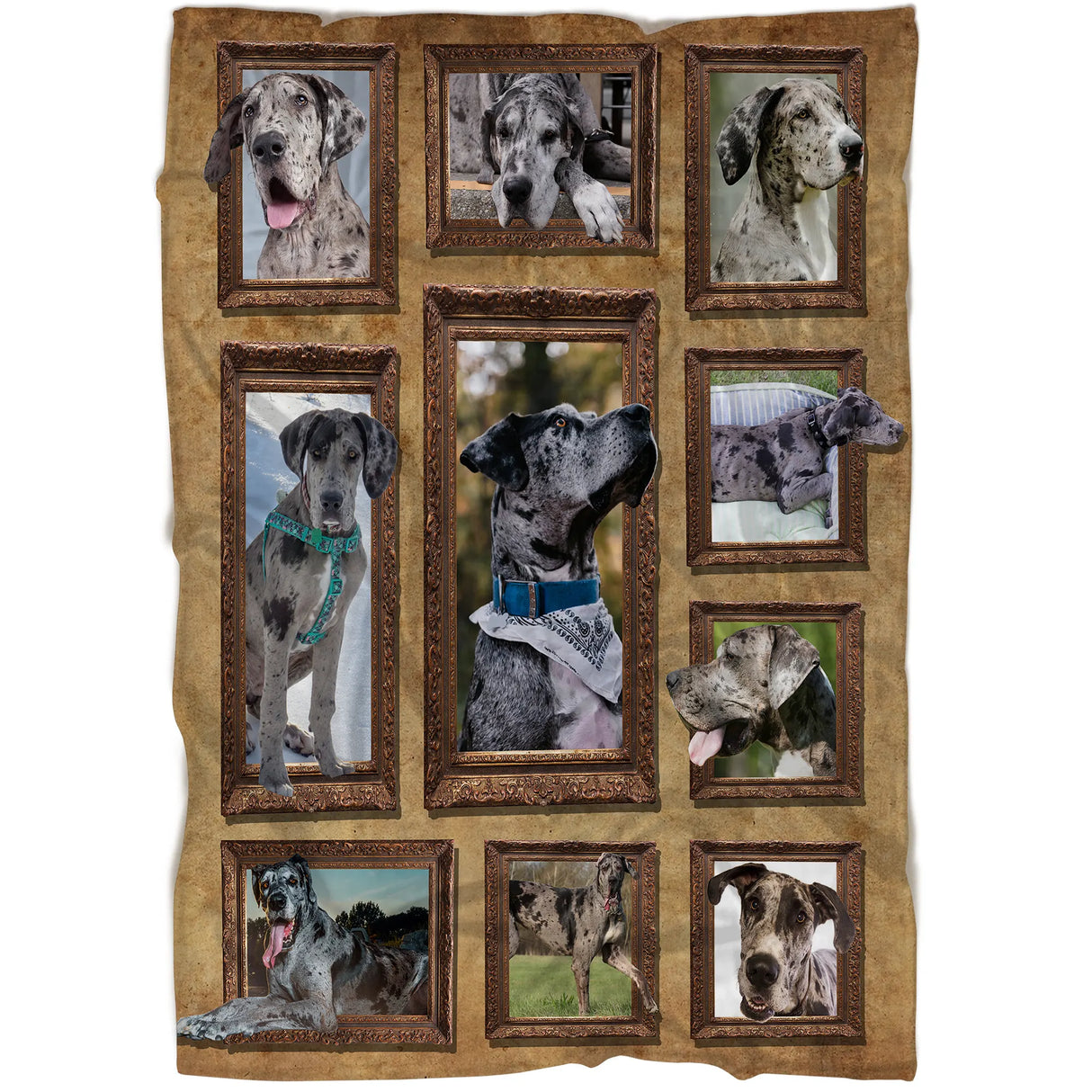 Plaid polaire Dogue Allemand Grand Danois vue salon, scènes de chien géant adultes et chiots encadrés