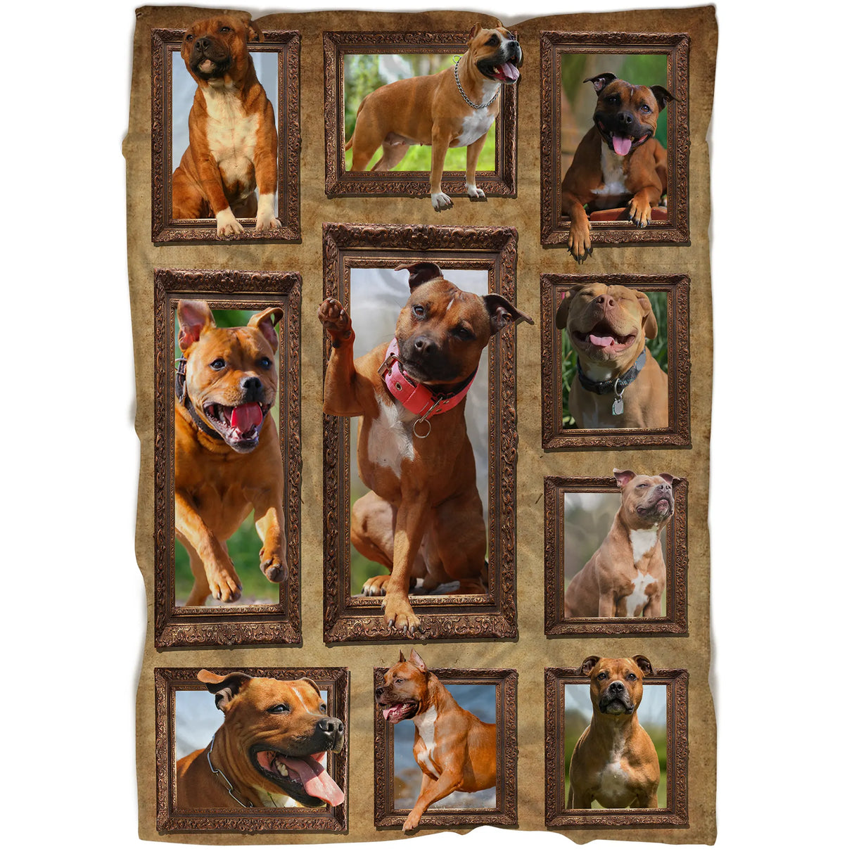 Plaid polaire Staffordshire Bull Terrier vue salon, scènes de chiens en extérieur encadrées sur tissu doux
