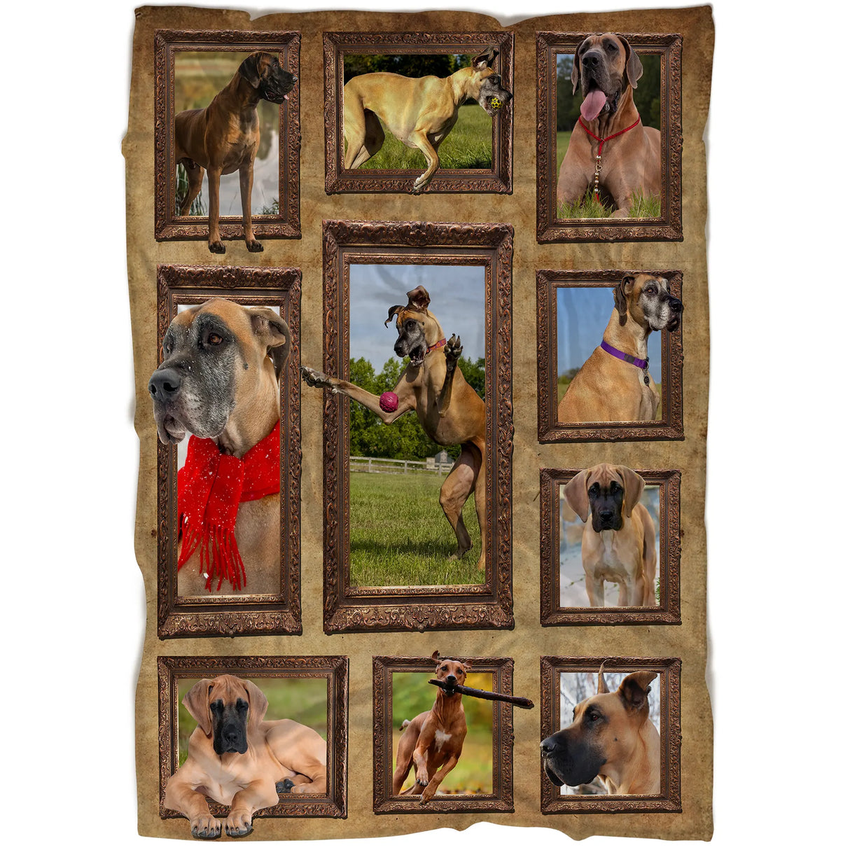 Plaid polaire Dogue Allemand Grand Danois vue salon, scènes de chien géant encadrées sur tissu doux