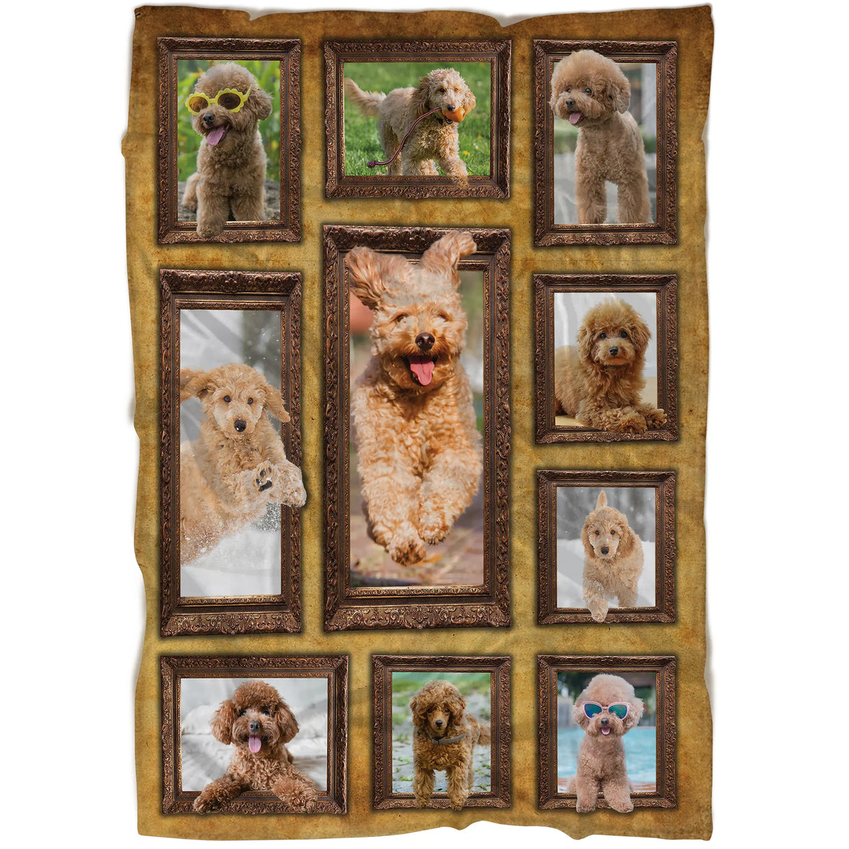 Plaid polaire Caniche Toy abricot vue salon, scènes de petit chien encadrées sur tissu doux pour canapé