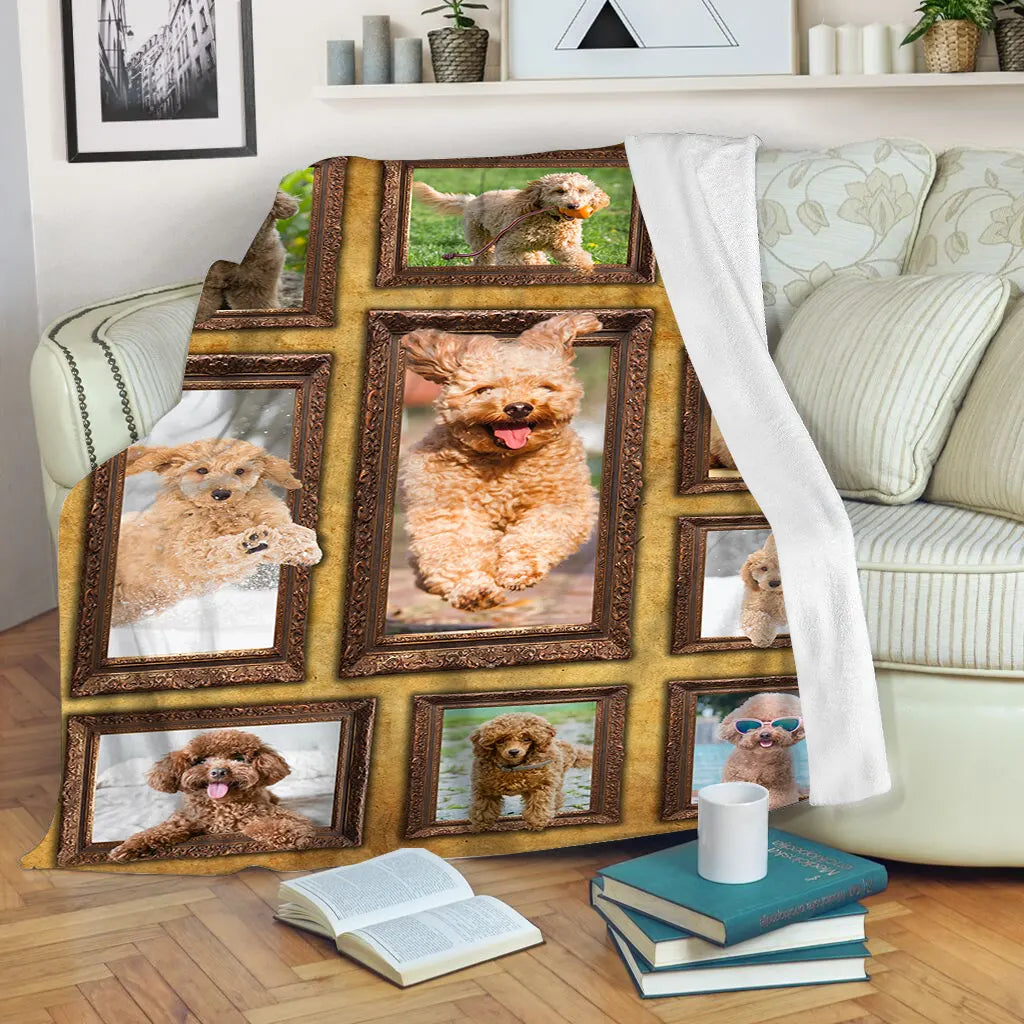 Couverture Caniche Toy polaire avec mosaïque de portraits caniche abricot bouclé sur canapé scène intérieur
