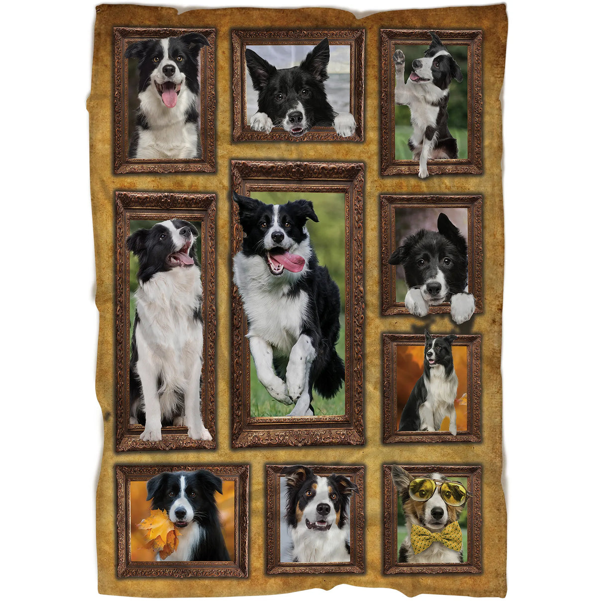 Plaid polaire Border Collie vue salon, scènes de chien de troupeau encadrées sur tissu doux pour canapé
