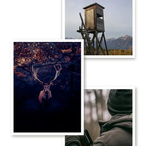 Cerf