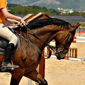 Cheval
