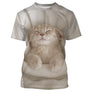 T-shirt chat 3D beige avec chaton endormi souriant, impression photoréaliste all-over teintes claires