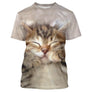 T-shirt chat 3D marron avec chatons jumeaux endormis souriants câlins, all-over photoréaliste teintes chaudes
