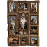 Plaid Maine Coon Chat 3D, Cadeau Pour Fan De Chats - CT19122241