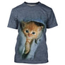 T-shirt chat 3D bleu denim avec chaton roux sortant d'une poche de jean texturée, all-over photoréaliste