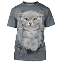 T-shirt chat 3D gris avec chaton Scottish Fold dans pull tricot gris, yeux dorés, all-over photoréaliste