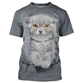 T-shirt chat 3D gris avec chaton Scottish Fold dans pull tricot gris, yeux dorés, all-over photoréaliste