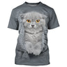 T shirt Homme Femme Gris 3D Imprimer Chat Mignon Du Quotidien Fin De Semaine Col Rond Standard - CT16012319