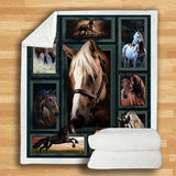 Horses, Friesian, Appaloosa, Paint Hourse, English Thoroughbred, Arabian Thoroughbred, Horse Passion Gift, Rider - PCANIM002