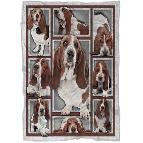 Basset Hound-Decke, im Vereinigten Königreich beheimatete Hunderasse – CT28092220
