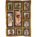 Toy Poodle Blanket, Poodle Breed - CT28092222