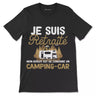 Vive La Retraite Retirement Humor T-Shirt, I'm Retired My Job Is To Drive A Motorhome - CTS27042225