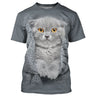 Camiseta gris para hombre y mujer con estampado 3D de lindo gato, cuello redondo estándar para fin de semana diario - CT16012319